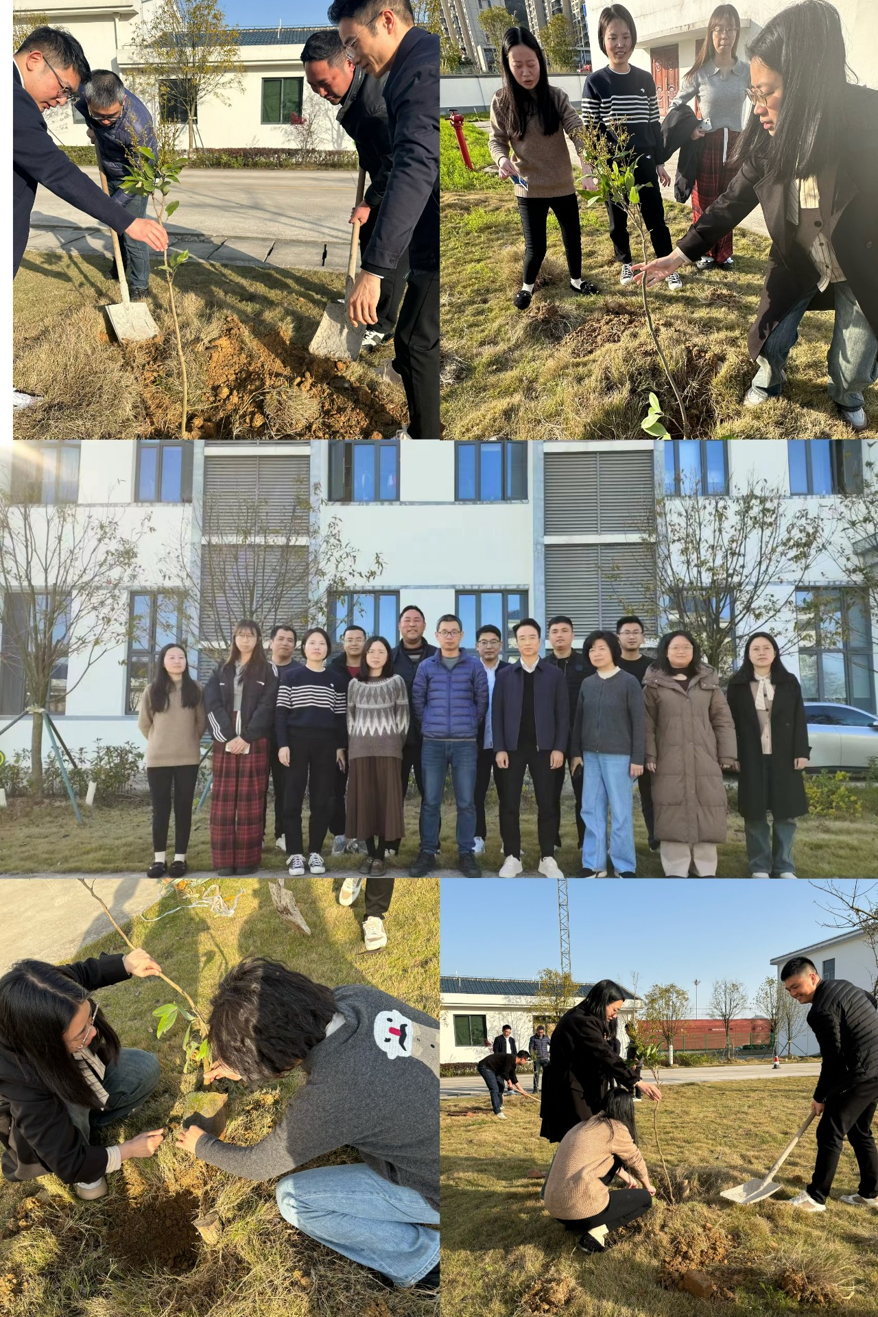 2024-3-12綠色陸港，美麗寧德，阮克妙拍攝.jpg